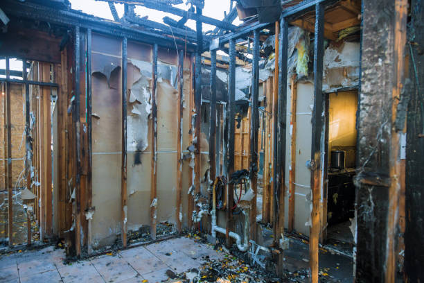 Professional Soot Cleanup technician working in Edgewater, MD